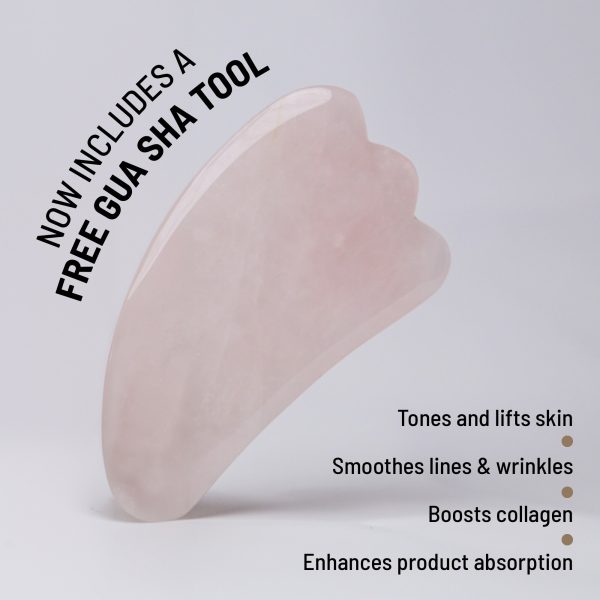 NECK TIGHTENING CREAM + GUA SHA Online Hot Sale - Image 3